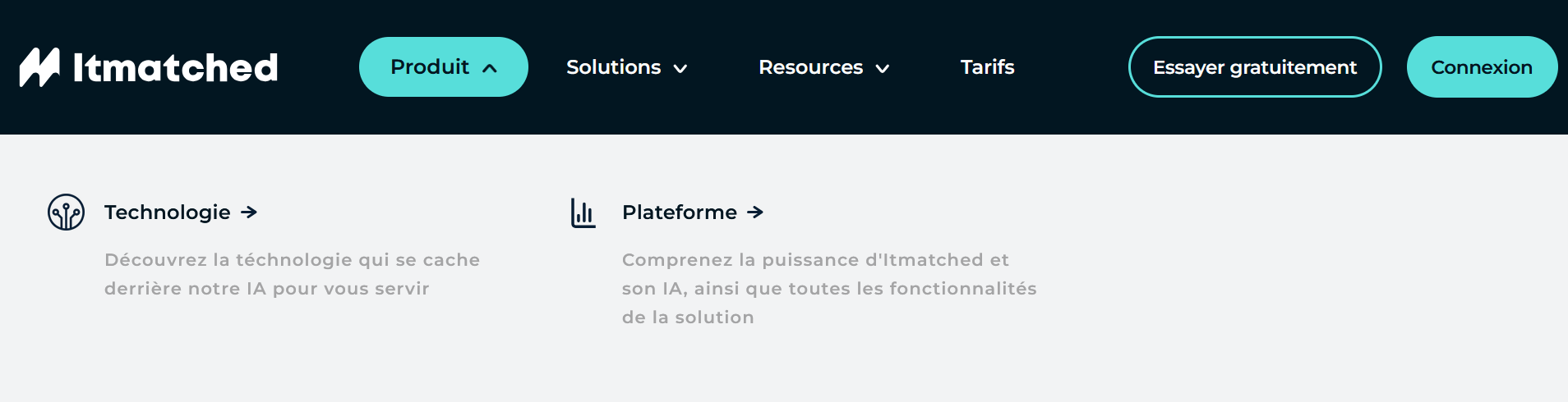 IT-Matched developer profile and skills matching view